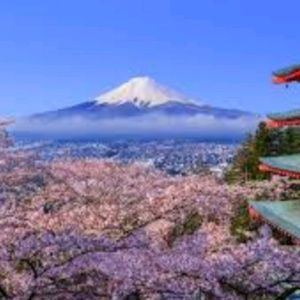 Meet your Posher, Tonya